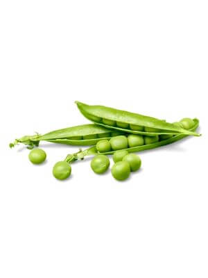 Fresh green soybean pods opened with individual soybeans scattered around