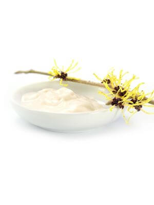 Vibrant yellow witch hazel blossoms with delicate petals accompanied by a creamy lotion in a round white dish