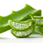 Aloe Vera Gel Base-Skin Perfection Natural and Organic Skin Care